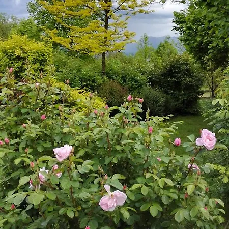 Casa Delle Arti Fattoria Dei Fiori Vakantieboerderij