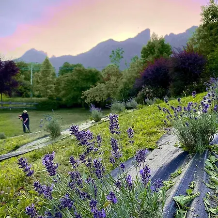 Casa Delle Arti Fattoria Dei Fiori Vakantieboerderij