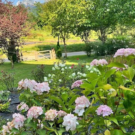 Casa Delle Arti Fattoria Dei Fiori Farm stay Sospirolo