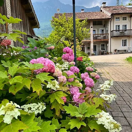 Casa Delle Arti Fattoria Dei Fiori *